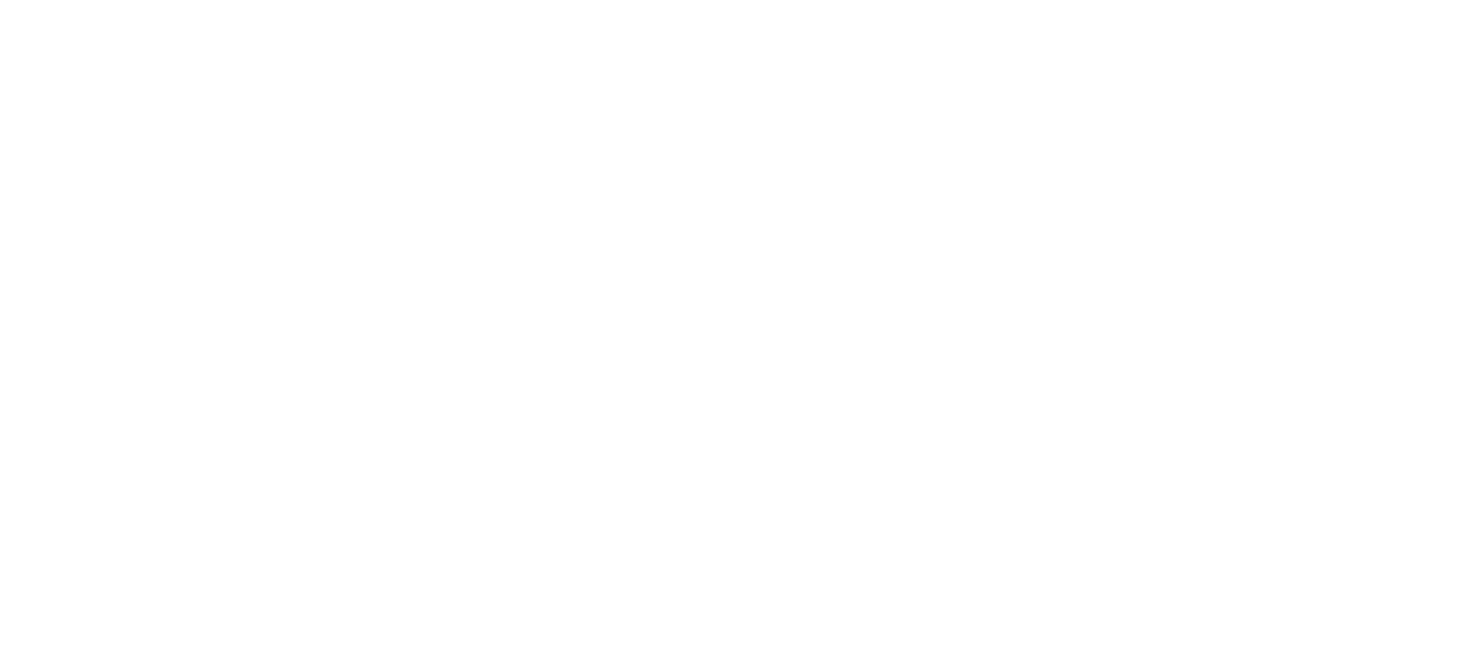 logo privacy branco